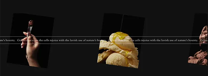 No.60　Cellato | セラート　公式WEBサイト　レモンな向上心|WEBサイト100選